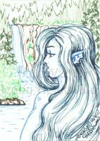 Mermaid Falls
